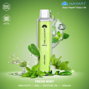 Fresh Mint